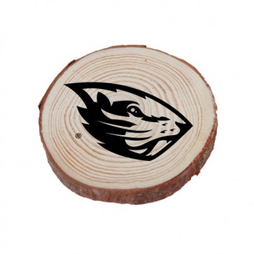 #2378 Large Zion Wood Magnet